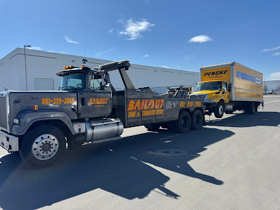 Bailout Tow and Transportation, Light and heavy duty towing