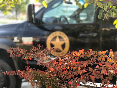 Lone Star Towing & Recovery