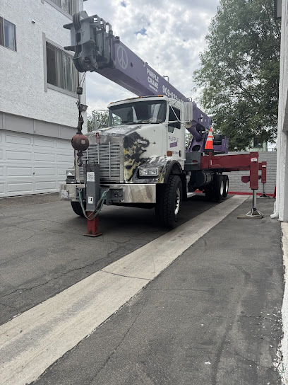 Purple Crane